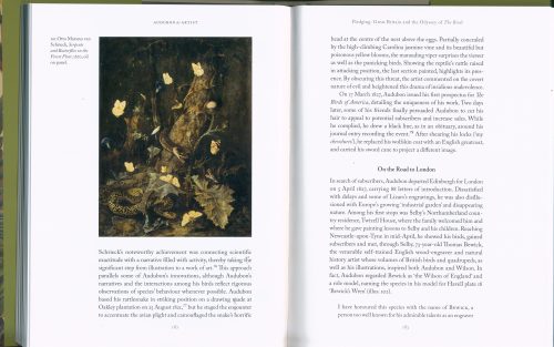 Audubon as Artist: A New Look at The Birds of America - Image 2
