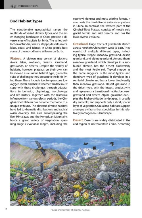 Birds of China - Image 3