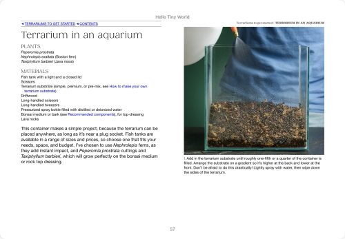Hello Tiny World: An Enchanting Journey into the World of Creating Terrariums - Image 3