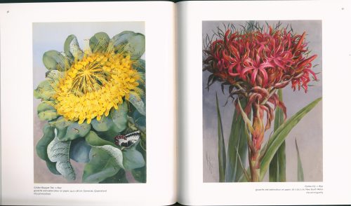 Ellis Rowan - Image 3