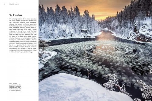 Frozen Planet II - Image 5