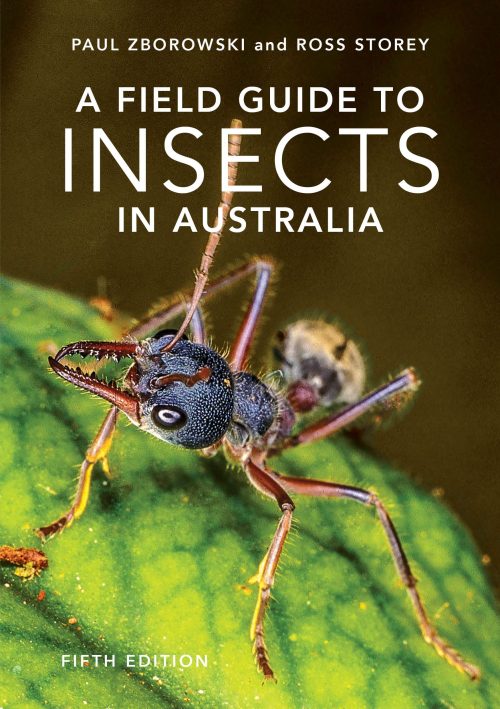A Field Guide to Insects in Australia (Fifth Edition)