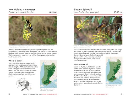 Birds of the Hindmarsh River Trail: Fleurieu Peninsula (Revised Edition) - Image 3