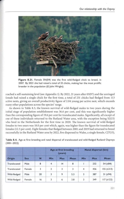 The Osprey - Image 2