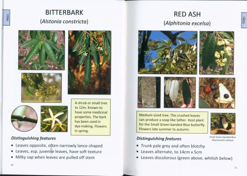 Plants of Southeast Toowoomba's Bushland Parks - Image 2