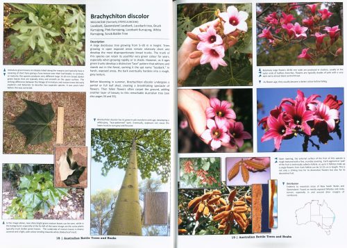 Australian Bottle Trees and Boabs (Third Expanded Edition) - Image 3
