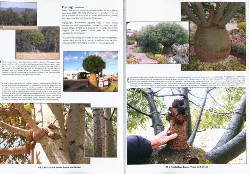 Australian Bottle Trees and Boabs (Third Expanded Edition) - Image 5