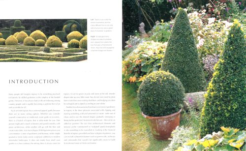 A Gardener's Guide to Topiary: The Art Of Clipping, Training And Shaping Plants - Image 2
