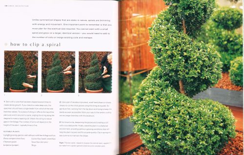A Gardener's Guide to Topiary: The Art Of Clipping, Training And Shaping Plants - Image 4