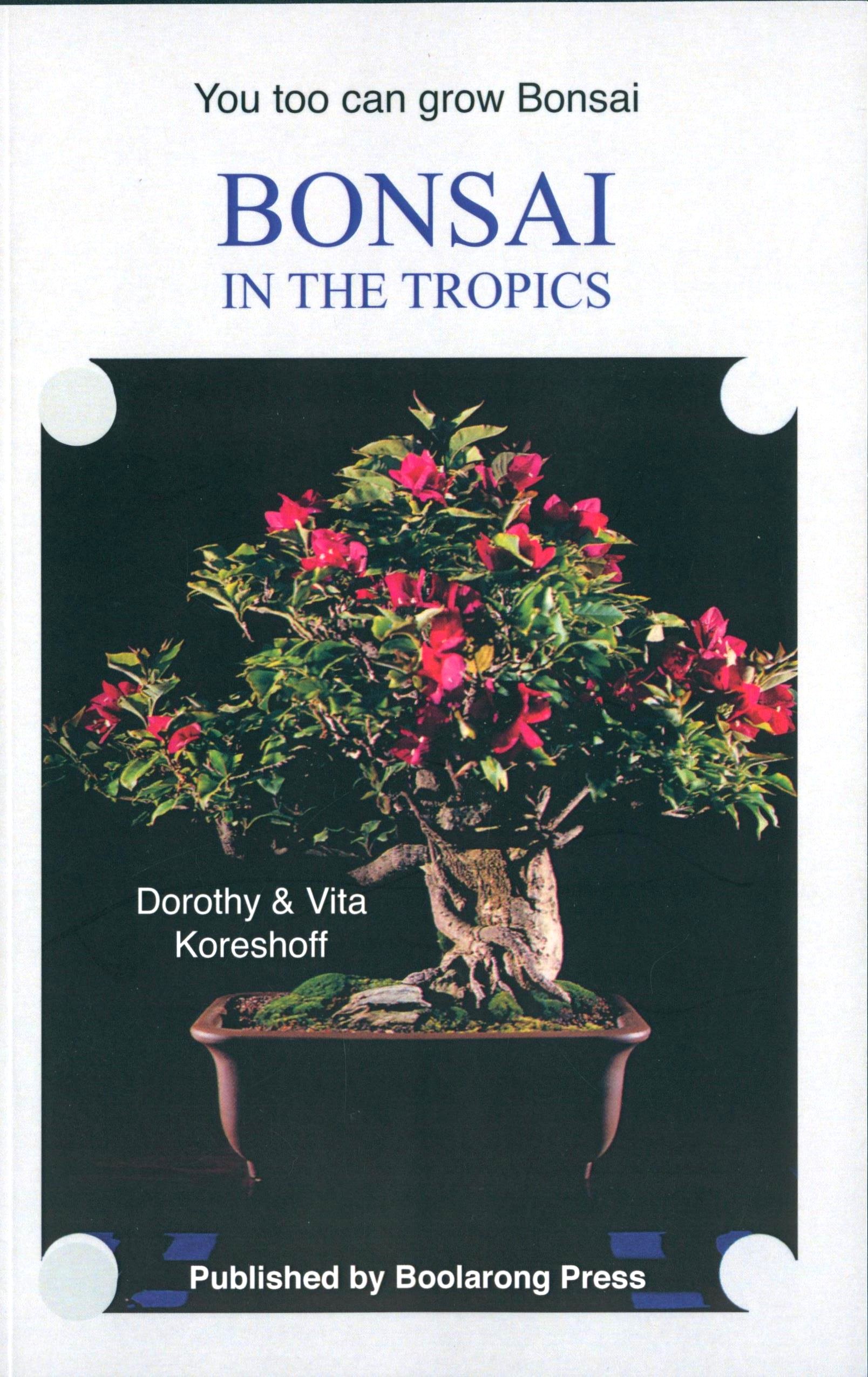 Bonsai in the Tropics
