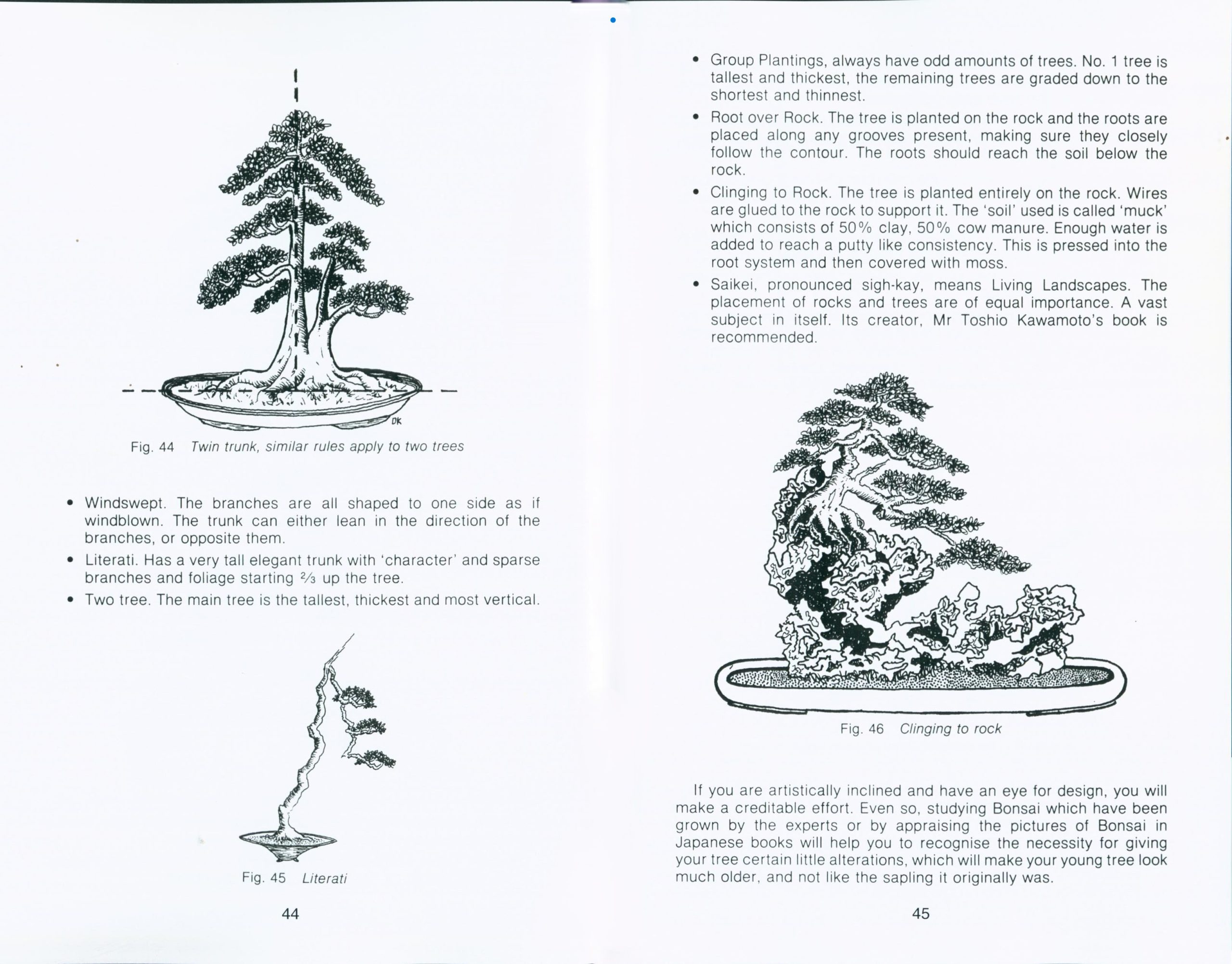 Bonsai in the Tropics - Image 3