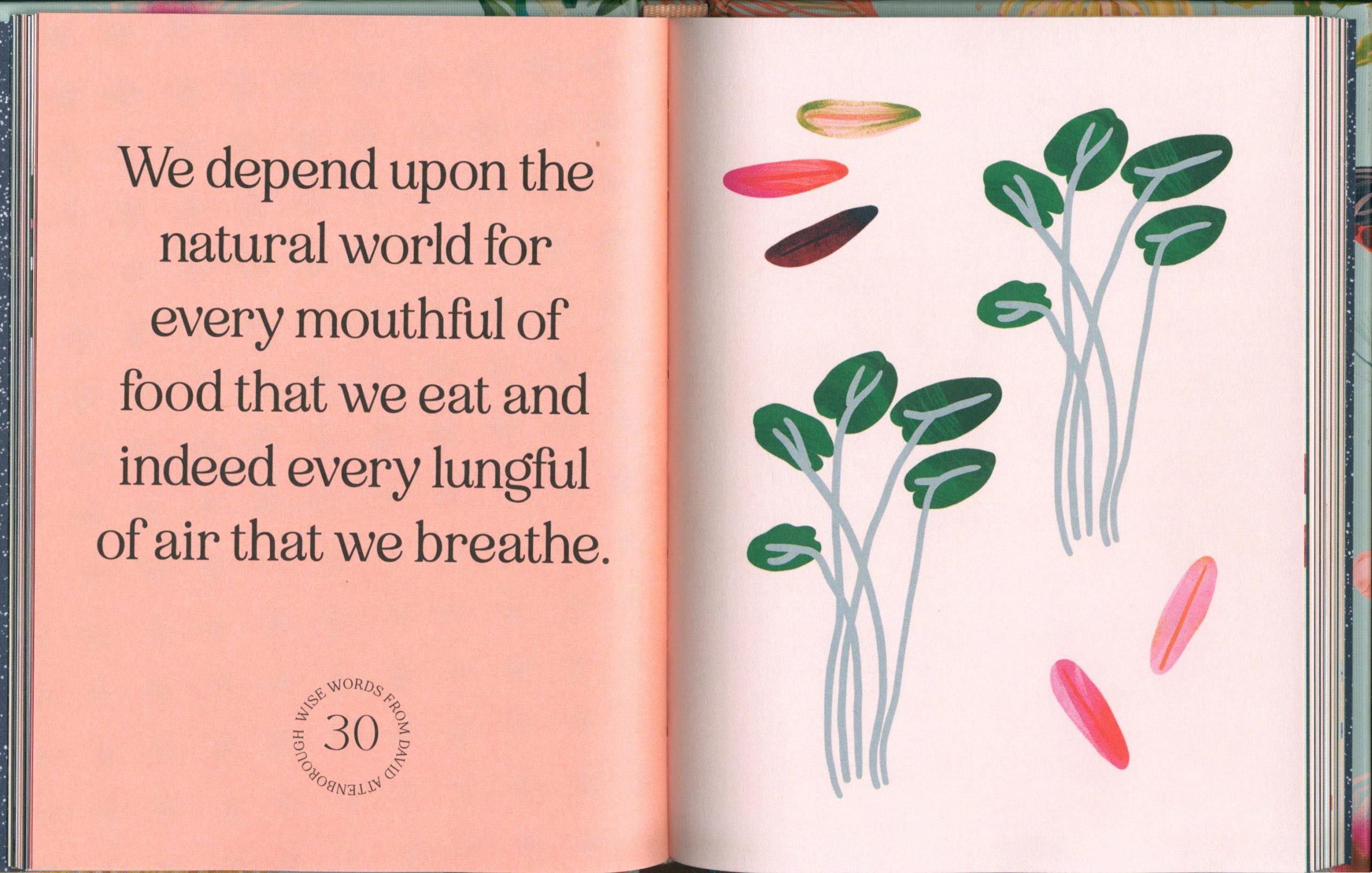 Wise Words From David Attenborough: A Book of Quotes - Image 5