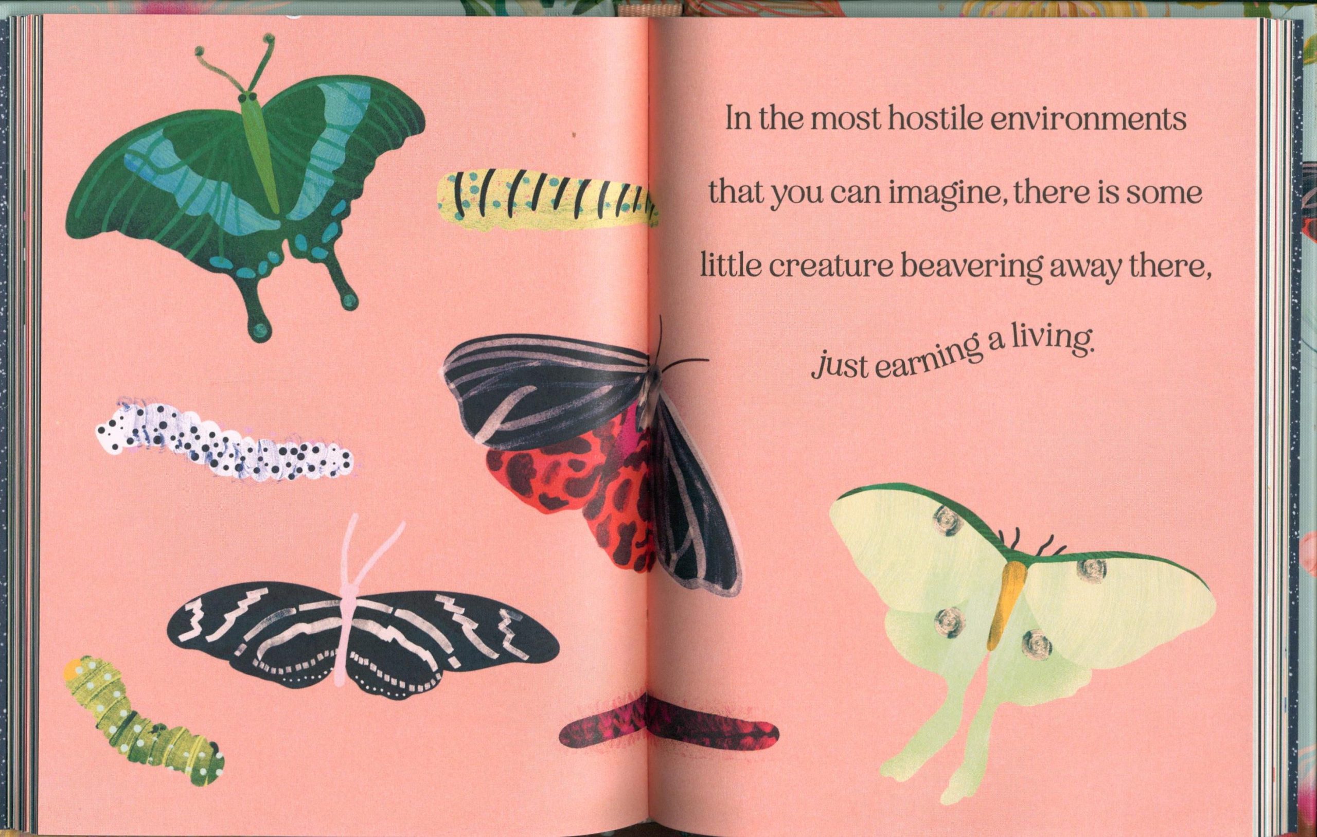 Wise Words From David Attenborough: A Book of Quotes - Image 6