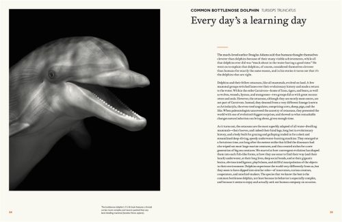 The Animal Mind: Profiles of Intelligence and Emotion - Image 2