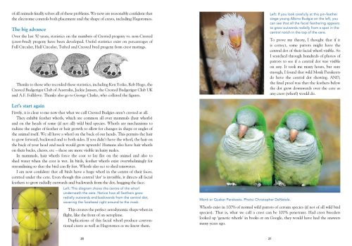 Budgerigars: The Colour Revolution - Image 7