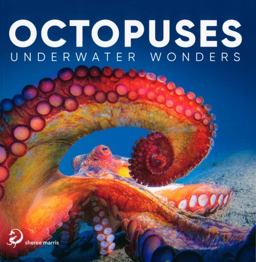 Octopuses: Underwater Wonders