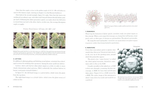 Do Plants Know Math? Unwinding the Story of Plant Spirals, from Leonardo da Vinci to Now - Image 2