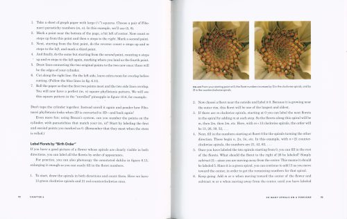 Do Plants Know Math? Unwinding the Story of Plant Spirals, from Leonardo da Vinci to Now - Image 3