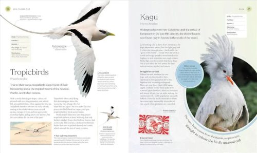 The Bird Book: The Stories, Science, and History of Birds - Image 4