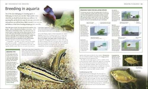 Encyclopedia of Aquarium and Pond Fish - Image 5
