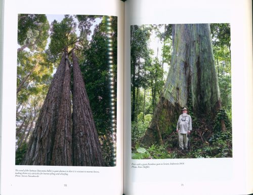 Peter Hitchcock: Defender of Forests: His Story Protecting Tall Eucalypts - Image 3