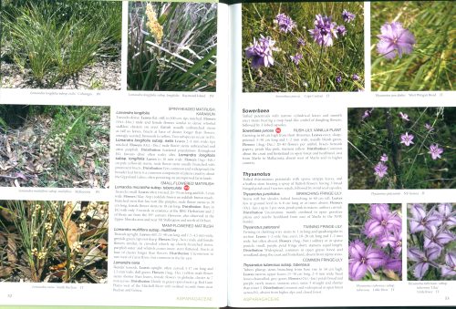 Wildflowers of East Gippsland: A Guide to Native Flora Observed by Bairnsdale & District Field Naturalists Club - Image 2