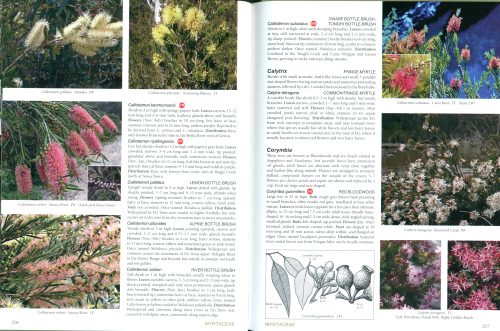 Wildflowers of East Gippsland: A Guide to Native Flora Observed by Bairnsdale & District Field Naturalists Club - Image 5
