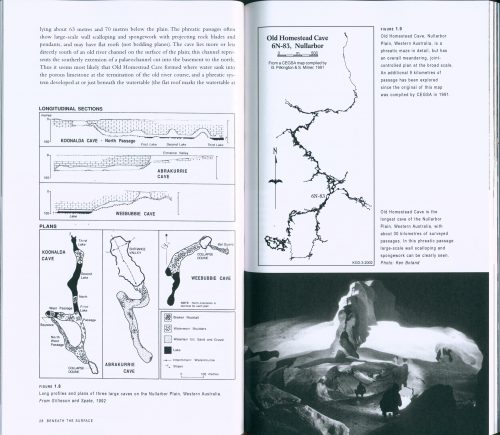 Beneath the Surface: a Natural History of Australian Caves - Image 3