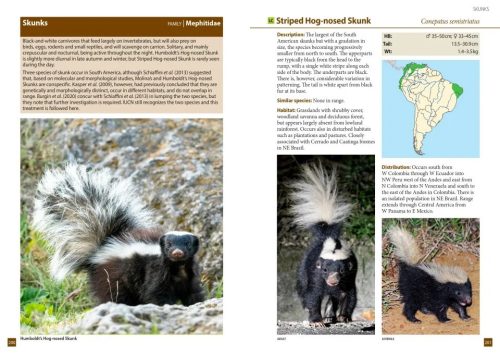 A Field Guide to the Larger Mammals of South America - Image 4