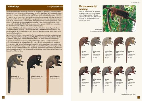 A Field Guide to the Larger Mammals of South America - Image 5