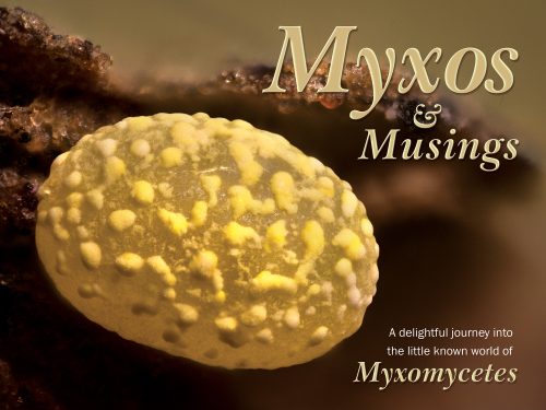Myxos and Musings: A Delightful Journey into the Little Known World of Myxomycetes