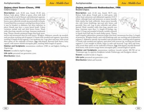 Stick and Leaf-Insects of the World: Phasmids - Image 3