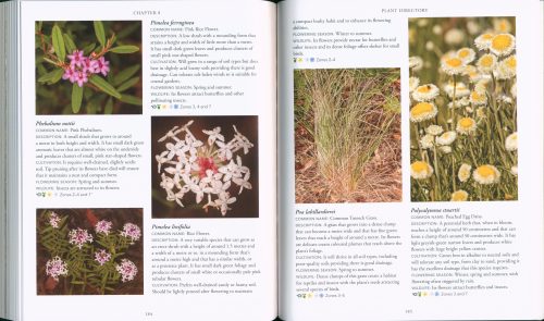 Creating a Bird-Friendly Garden: What to Plant to Attract Key Australian Species - Image 5