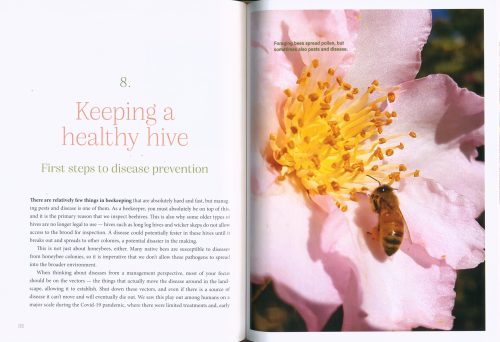 Urban Beekeeping: The City as a Hive - Image 5