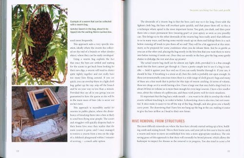 Urban Beekeeping: The City as a Hive - Image 6