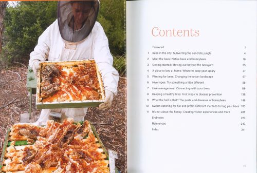 Urban Beekeeping: The City as a Hive - Image 2