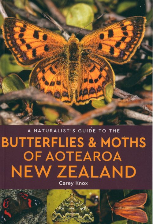 A Naturalist's Guide to the Butterflies & Moths of Aotearoa New Zealand