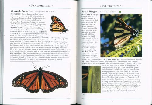 A Naturalist's Guide to the Butterflies & Moths of Aotearoa New Zealand - Image 3