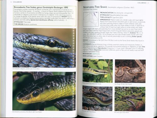 A Field Guide to the Snakes of Australia - Image 2