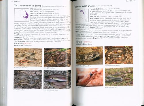 A Field Guide to the Snakes of Australia - Image 3