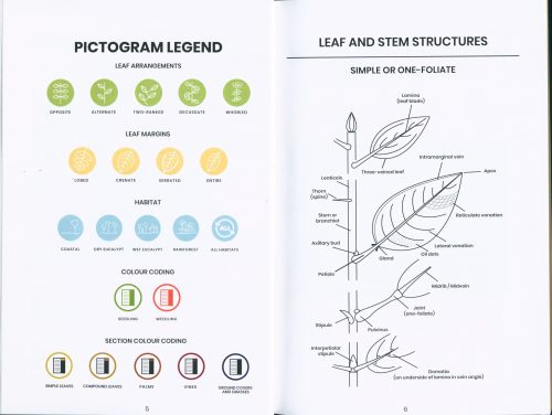 Weedlings and Seedlings: A Field Guide to Seedling Identification for Bush Regeneration - Image 2