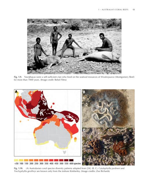Coral Reefs of Australia: Perspectives from Beyond the Water's Edge - Image 2