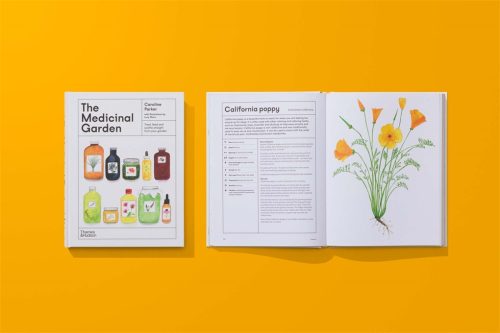 The Medicinal Garden: Treat, Feed and Soothe Straight From Your Garden - Image 2