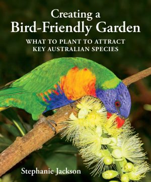 Creating a Bird-Friendly Garden: What to Plant to Attract Key Australian Species