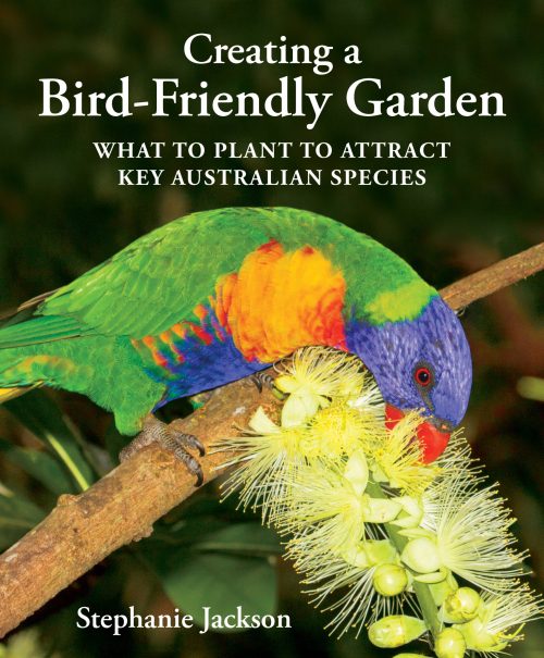 Creating a Bird-Friendly Garden: What to Plant to Attract Key Australian Species