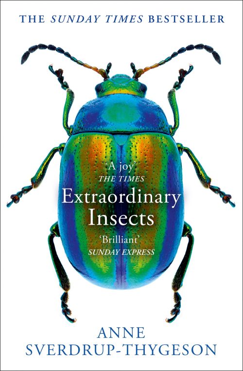 Extraordinary Insects: Weird. Wonderful. Indispensable: The Ones Who Run our World