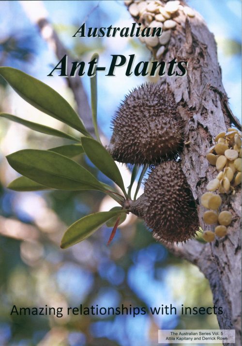 Australian Ant Plants: Amazing Relationships with Insects
