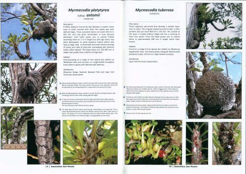 Australian Ant Plants: Amazing Relationships with Insects - Image 3