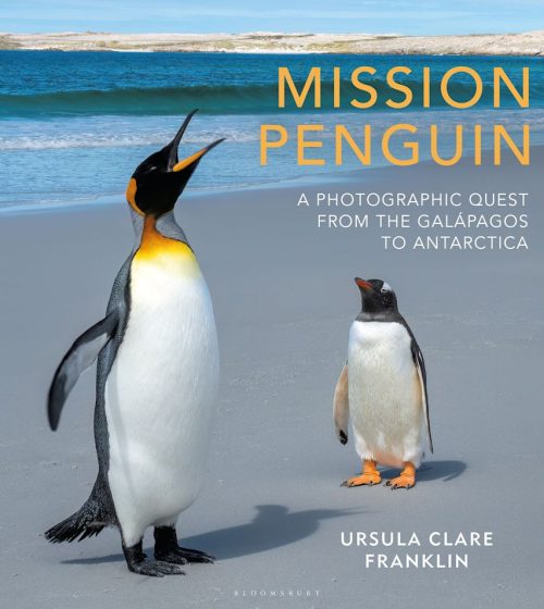 Mission Penguin: A Photographic Quest from the Galápagos to Antarctica