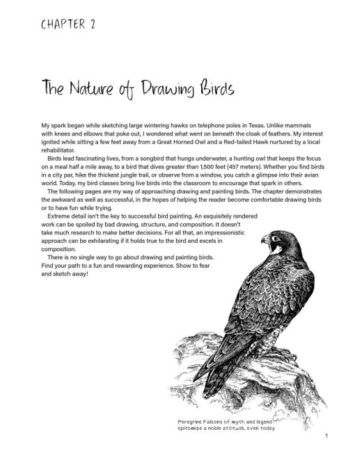 Drawing Nature - Image 4
